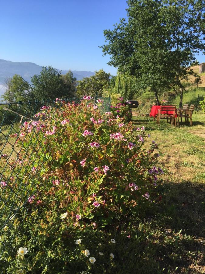 Woodpecker Yurt Hotel Santa Cruz do Douro ภายนอก รูปภาพ