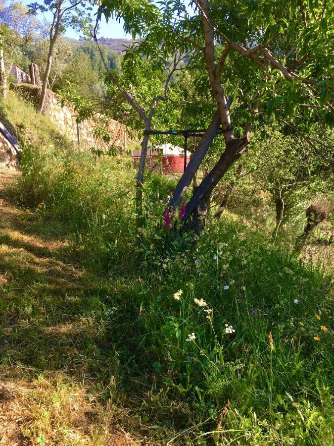 Woodpecker Yurt Hotel Santa Cruz do Douro ภายนอก รูปภาพ