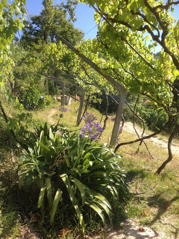 Woodpecker Yurt Hotel Santa Cruz do Douro ภายนอก รูปภาพ