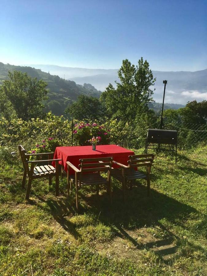 Woodpecker Yurt Hotel Santa Cruz do Douro ภายนอก รูปภาพ